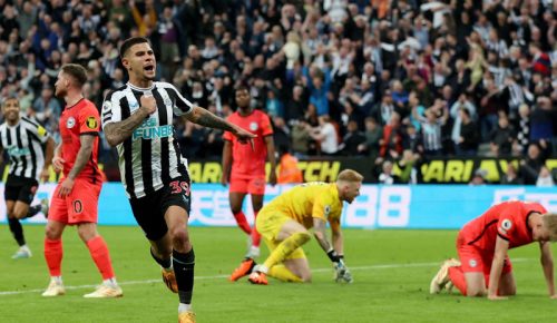 berita bola brighton newcastle - Ekings